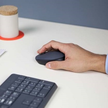 LogitechM171